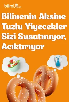 Bilinenin Aksine Tuzlu Yiyecekler  Susatmıyor, Acıktırıyor