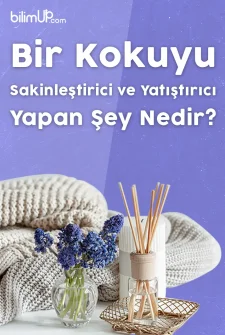 Bir Kokuyu Sakinleştirici ve Yatıştırıcı Yapan Şey Nedir?