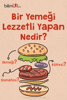 Bir Yiyeceği Lezzetli Yapan Nedir?
