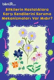 Bitkilerin Hastalıklara Karşı Kendilerini Koruma Mekanizmaları Var Mıdır?