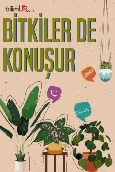 Bitkiler de Konuşur