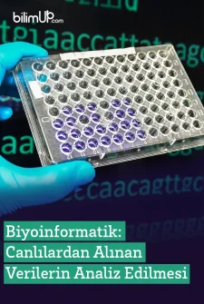 Biyoinformatik: Canlılardan Alınan Verilerin Analiz Edilmesi