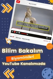 Biyomimikri