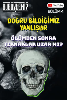Bu Böyle Mi? Bölüm 4