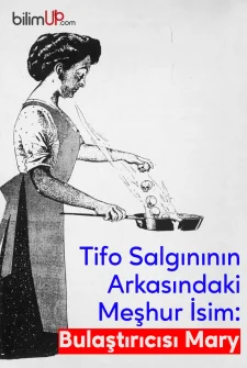 Tifo Salgınının Arkasındaki Meşhur İsim: Bulaştırıcısı Mary