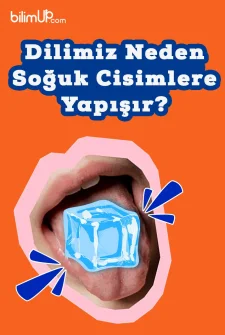 Dilimiz Neden Soğuk Cisimlere Yapışır?