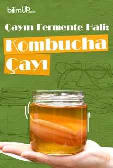 Çayın Fermente Hali: Kombucha Çayı