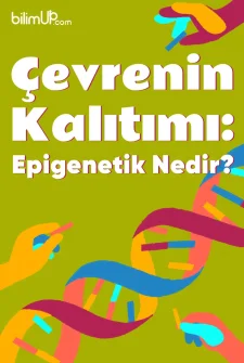 Çevrenin Kalıtımı: Epigenetik Nedir?