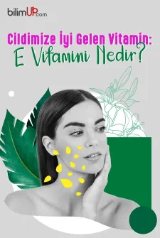 Cildimize İyi Gelen Vitamin: E Vitamini Nedir?