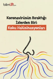 Koronavirüsün Bıraktığı İzlerden Biri: Koku Halüsinasyonları