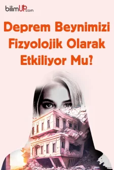 Deprem Beynimizi Fizyolojik Olarak Etkiliyor Mu?