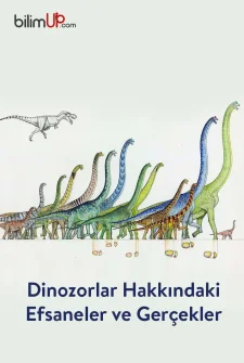 Dinozorlar Hakkındaki Efsaneler ve Gerçekler