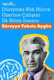 Dünyada Kök Hücre Üzerine Çalışan İlk Bilim İnsanı: Süreyya Tahsin Aygün
