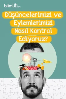 Düşüncelerimizi ve Eylemlerimizi Nasıl Kontrol Ediyoruz?