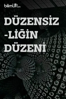 Düzensizliğin Düzeni