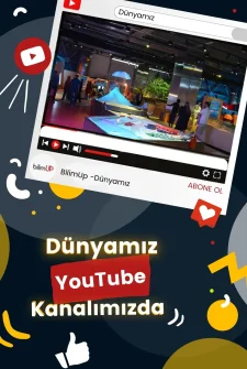 Dünyamız