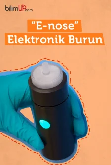 “E-nose” Elektronik Burun