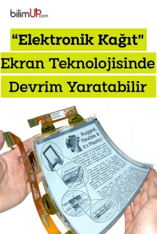"Elektronik kağıt" Ekran Teknolojisinde Devrim Yaratabilir