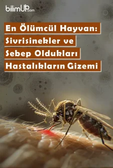 En Ölümcül Hayvan: Sivrisinekler ve Sebep Oldukları Hastalıkların Gizemi
