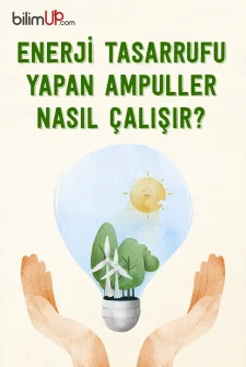 Enerji Tasarrufu Yapan Ampuller Nasıl Çalışır?
