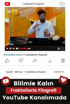 Fraktallarla Filografi