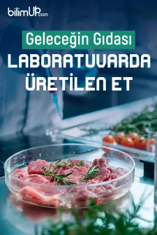 Geleceğin Gıdası- Laboratuvarda Üretilen Et