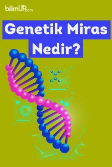 Genetik Miras Nedir?