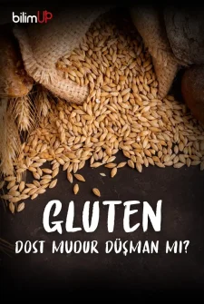 Gluten Dost Mudur Düşman Mıdır?