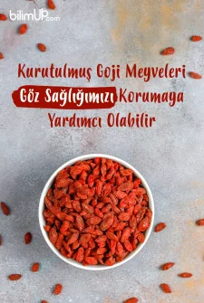 Kurutulmuş Goji Meyveleri Göz Sağlığımızı Korumaya Yardımcı Olabilir
