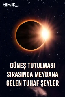 Güneş Tutulması Sırasında Meydana Gelen Tuhaf Şeyler