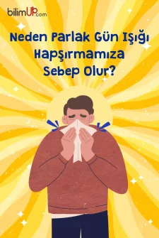 Güneş'e Bakınca Neden Hapşırırız?