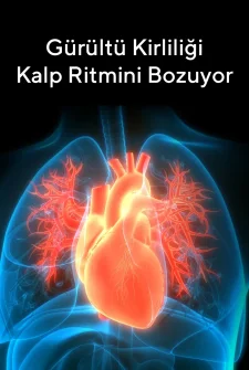Gürültü Kirliliği Kalp Ritmini Bozuyor