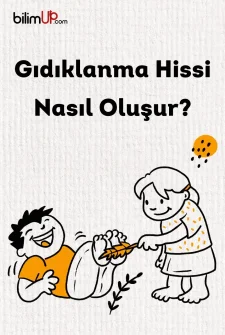 Gıdıklanma Hissi Nasıl Oluşur?