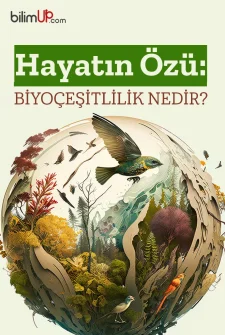 Hayatın Özü: Biyoçeşitlilik Nedir?