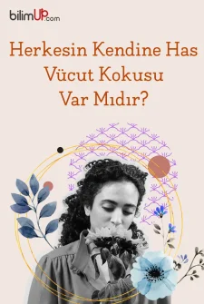 Herkesin Kendine Has Vücut Kokusu Var Mıdır?