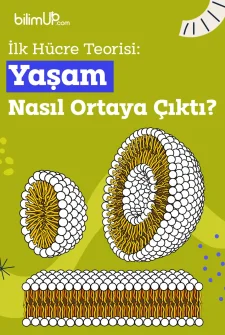 İlk Hücre Teorisi: Yaşam Nasıl Ortaya Çıktı?
