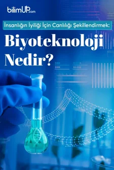 İnsanlığın İyiliği İçin Canlılığı Şekillendirmek: Biyoteknoloji Nedir?