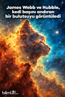 James Webb ve Hubble, Kedi Başını Andıran Bir Bulutsuyu G&ouml;r&uuml;nt&uuml;ledi