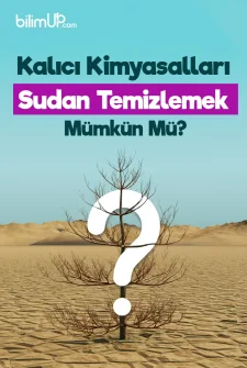 Kalıcı Kimyasalları Sudan Temizlemek Mümkün Mü?