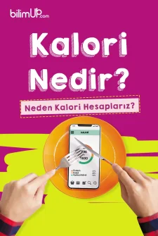 Kalori Nedir? Neden Kalori Hesaplarız?