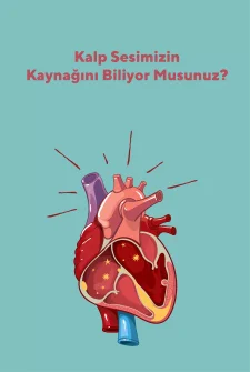 Kalp Sesimizin Kaynağını Biliyor Musunuz?