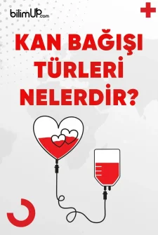 Kan Bağışı Türleri Nelerdir?