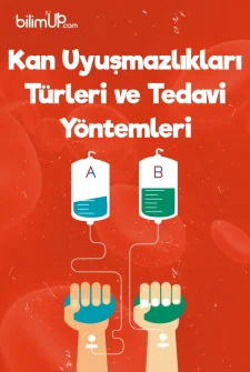 Kan Uyuşmazlıkları, Türleri Ve Tedavi Yöntemleri