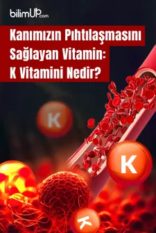 Kanımızın Pıhtılaşmasını Sağlayan Vitamin: K Vitamini Nedir?