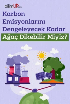 Karbon Emisyonlarını Dengeleyecek Kadar Ağaç Dikebilir Miyiz?