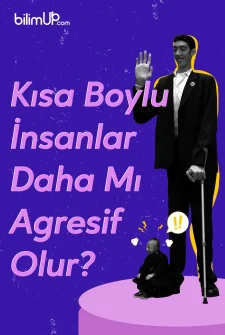 Kısa Boylu İnsanlar Daha Mı Agresif Olur?