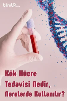 Kök Hücre Tedavisi Nedir, Nerelerde Kullanılır?