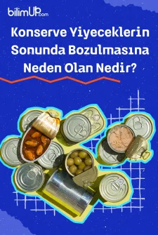 Konserve Yiyeceklerin Sonunda Bozulmasına Neden Olan Nedir?
