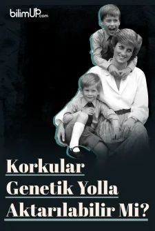 Korkular Genetik Yolla Aktarılabilir Mi?