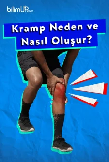Kramp Neden ve Nasıl Oluşur?
